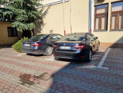 Tărie cehească: Ce s-a ales de mașina vicepreședintelui CJ Bihor peste care a căzut un copac (FOTO)
