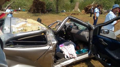 Bărbatul mort în urma furtunii din Bulz era un orădean de 37 de ani. Maşina în care s-a adăpostit, complet distrusă (FOTO)