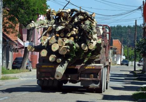 De neclintit: Pădurarul căruia hoţii de lemne i-au incendiat casa a oprit un transport ilegal de 10.000 euro