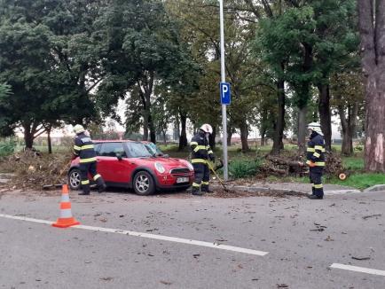 O mașină a fost strivită de un copac lângă Colegiul Economic Partenie Cosma (FOTO)