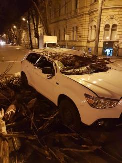 Vântul a făcut pagube la Oradea: Maşini distruse de copaci doborâţi de vijelie şi de bucăţi de construcţie desprinse dintr-o clădire, pe strada Republicii (FOTO)