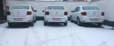 Cadou de Crăciun pentru poliţiştii din Bihor: Nouă mașini Dacia Logan