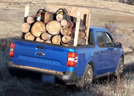 Hoţi de lemne din Bihor, prinşi cu prada într-un 'gipan' american, fără plăcuţe de înmatriculare. Șoferul nici nu avea permis