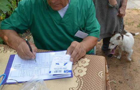 Medicii veterinari din Bihor ameninţă cu suspendarea unor activităţi, de săptămâna viitoare, pentru că DSVSA nu le plăteşte serviciile prestate