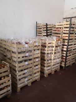 Mere stricate destinate elevilor din Bihor! Direcţia Agricolă a dispus retragerea a peste 3.000 kilograme de la livrare (FOTO)