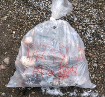 Moşu’ braconier: Mesaje macabre lăsate de braconieri pentru paznicii Asociaţiei Pro Hunting Salonta