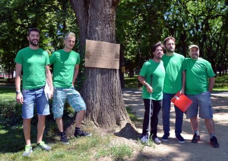 Mesaje din copaci: Voluntari din Italia şi Spania le cer orădenilor să nu taie copaci (FOTO)