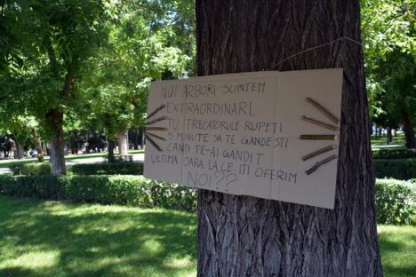 Mesaje din copaci: Voluntari din Italia şi Spania le cer orădenilor să nu taie copaci (FOTO)