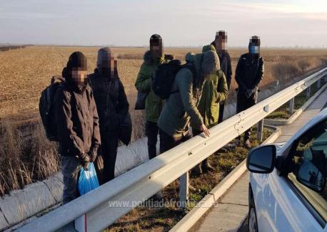 La pas spre Ungaria: 7 migranți prinși încercând să treacă ilegal granița, în zona autostrăzii