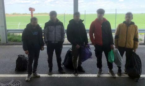 5 migranţi, prinşi la Borş II, într-un TIR care transporta motoare electrice pentru o firmă din Rusia