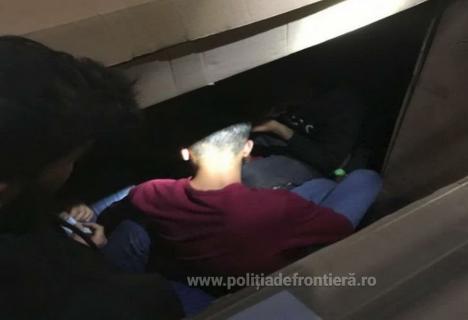 Ascunși în TIR-uri: 25 de migranţi au vrut să treacă ilegal în Ungaria prin Borş şi Vărşand (VIDEO)