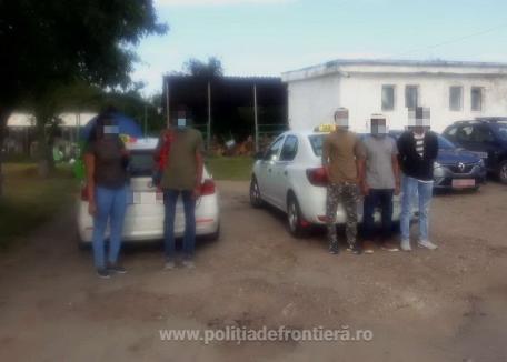 Prinşi de poliţiştii din Bihor. Doi taximetrişti au rămas fără maşini fiindcă au dus migranţi în apropierea graniţei cu Ungaria