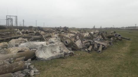 Premieră în România: O linie electrică aeriană din Bihor a fost îngropată, pentru salvarea dropiilor, păsări amenințate cu dispariția (FOTO)