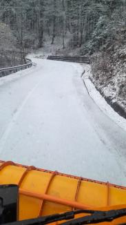 A nins în Bihor: Echipajele de deszăpezire au intervenit pe drumurile spre Padiș și Stâna de Vale