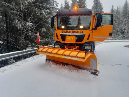 A nins în Bihor: Echipajele de deszăpezire au intervenit pe drumurile spre Padiș și Stâna de Vale