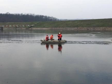 Misiune imposibilă: Pompierii au încercat să salveze o căprioară captivă pe lacul îngheţat la Paleu, dar fără succes (FOTO)