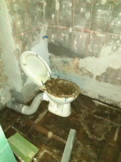 Ratare la canalizare: Au abandonat lucrările la canalizarea din centrul Oradiei, lăsându-i pe oameni cu mizeria în case (FOTO)