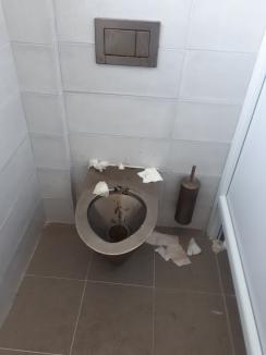 Ruşinea de (pe) autostradă: Au inaugurat ciotul spre Ungaria, dar nu au atribuit întreţinerea WC-urilor din vamă (FOTO)