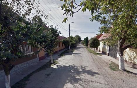 Asfaltări în Ioşia veche: Municipalitea demarează moderizarea străzilor Arţarilor, Greierului, Înfrăţirii şi Mangaliei