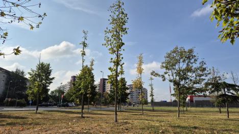 Murdărie de la Primărie: Mormane uriașe de pământ și moloz în spatele parcului Adona din Oradea (FOTO)