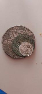 Comoara din pădure: Trei 'detectorişti' din Bihor au descoperit aproape 5.000 de monede de argint (FOTO)