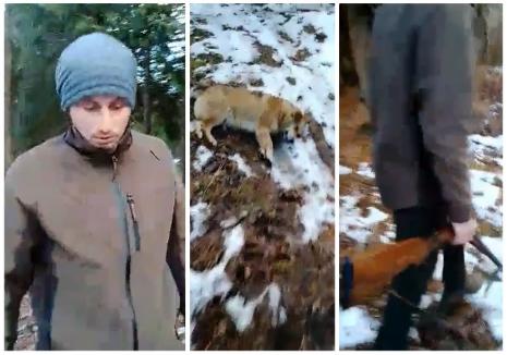 Situaţie revoltătoare în Bihor: Câine împuşcat în curtea cantonului silvic din Ştei (VIDEO)