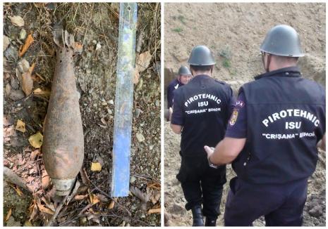 A fost găsită o bombă funcțională într-o pădure din Bihor