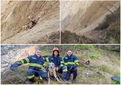 Pompierii au salvat un câine căzut în Groapa Ruginoasă. Unul dintre ei a escaladat timp de o oră cu patrupedul, pentru a-l scoate de pe versant (FOTO/VIDEO)