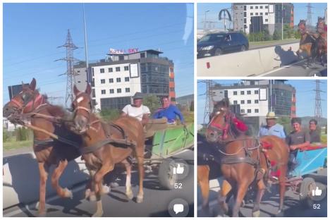 Căruțe filmate circulând pe contrasens, între Oradea și Sânmartin. „Nu-i căruța ca Merțanu...” (VIDEO)