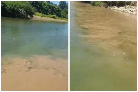 Un pescar din Bihor a dezvăluit cum se deversează ape murdare în Crişul Negru: „Nimeni nu ia nicio măsură” (VIDEO)