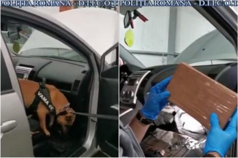 Cocaină şi heroină de 1 milion de euro, găsite la frontiera Borş, cu ajutorul câinelui de serviciu! Flagrant pentru prinderea traficantului (VIDEO)