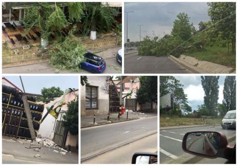 Furtuna face pagube: În Oradea au căzut mai mulţi copaci, inclusiv pe maşini și pe o școală (FOTO/VIDEO)