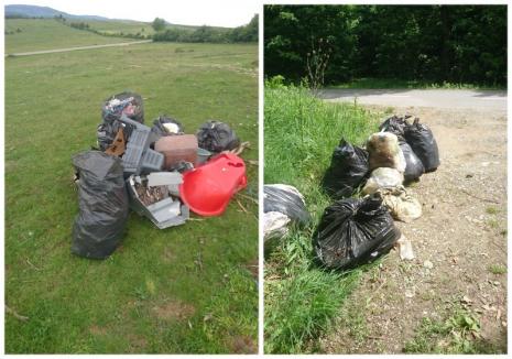 Controale finalizate: 96 de primării din Bihor au probleme cu gunoaiele (FOTO)