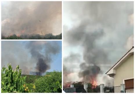 Incendiu masiv de vegetație în Oradea, pe dealuri, în apropierea zonei locuite. ISU: Există risc mare de propagare (FOTO)