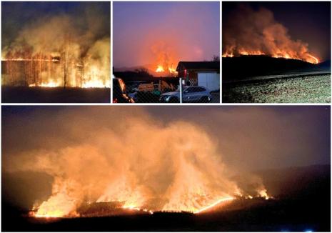 Incendiu masiv de vegetație în Bihor. Focul riscă să ajungă la o pădure din apropiere (FOTO/VIDEO)