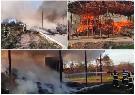 1.500 de baloți de fân au ars în Buntești. Cum a pornit incendiul (FOTO/VIDEO)