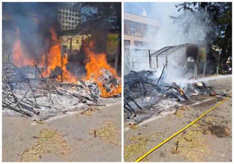 Ce face neatenția: pubele de gunoi și un stâlp de iluminat, în flăcări, în Oradea (VIDEO)