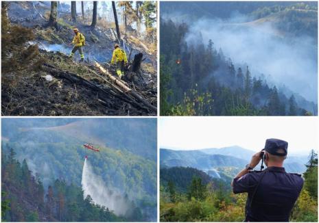 Foc în inima pădurii, lângă Stâna de Vale: Peste 100 de oameni merg zilnic pe jos, cu apa în spate, ca să stingă primul incendiu de pădure din istoria recentă a Bihorului (FOTO/VIDEO)