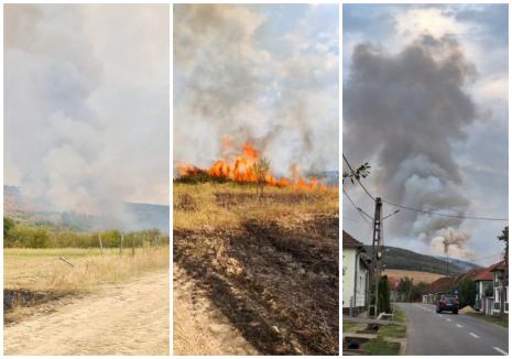 Pompieri, pădurari și voluntari se luptă cu flăcările, în pădurea de lângă Vintere. Prefectul de Bihor: „Focul nu este în apropierea caselor” (FOTO/VIDEO)