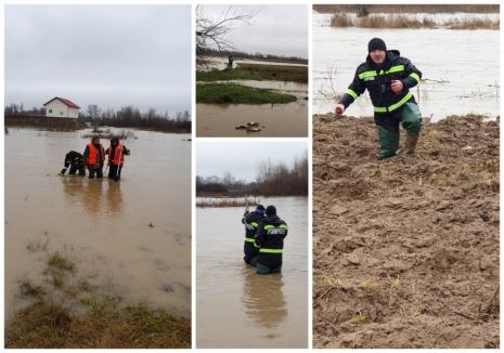 Cod portocaliu de viituri în Bihor. Bărbat salvat de pompierii din Beiuș după ce a fost surprins de creșterea bruscă a apei (FOTO / VIDEO)