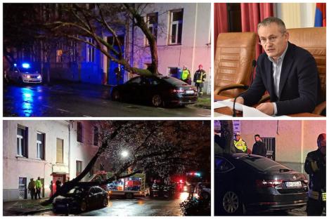 FOTO: Mașina vicepreședintelui CJ Bihor Mircea Mălan, distrusă de un copac în Oradea