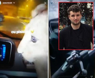 Victoraş Micula, filmat cu un pui de leu şi cu puşca cu lunetă în maşină. Poliţiştii fac cercetări pentru braconaj, Micula se dă victima unui hacker (VIDEO)