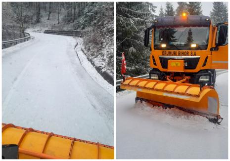 A nins în Bihor: Echipajele de deszăpezire au intervenit pe drumurile spre Padiș și Stâna de Vale