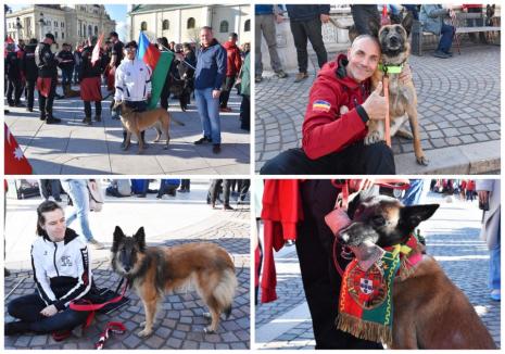Campionatul sportivilor cu lăbuțe: Cei mai buni ciobănești belgieni din lume s-au întâlnit la Oradea (FOTO/VIDEO)
