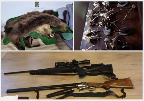 20 de persoane au fost reținute, în cea mai amplă anchetă de braconaj din Bihor! Au fost găsite trofee de cerbi și căprioare, precum și unul de urs (FOTO)