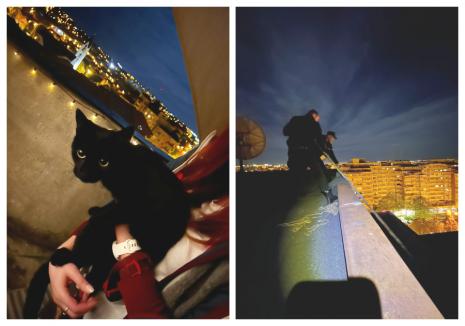 Pisică salvată de pe acoperișul unui bloc cu 10 etaje din Oradea