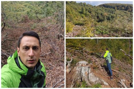 Un eurodeputat USR acuză infracțiuni de mediu într-o pădure din Vașcău și crede că „autoritățile sunt complice”: defrișări și depozitări de deșeuri (FOTO)
