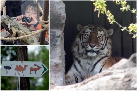 Grădina Zoologică din Oradea se mută în pădurea din Băile Felix