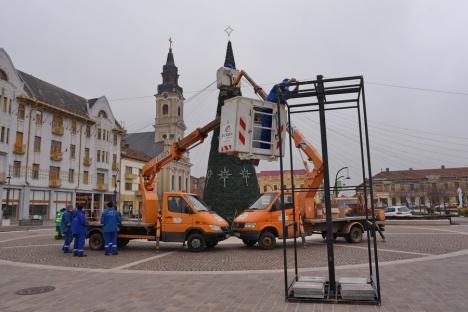 Bradul de Crăciun a fost montat în Piața Unirii: Primele instalații se vor aprinde săptămâna viitoare în Oradea (FOTO)