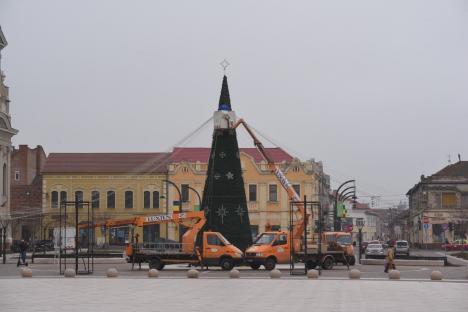 Bradul de Crăciun a fost montat în Piața Unirii: Primele instalații se vor aprinde săptămâna viitoare în Oradea (FOTO)